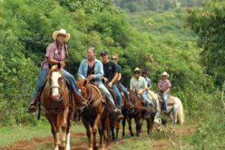 Horse Riding Tour in Fethiye